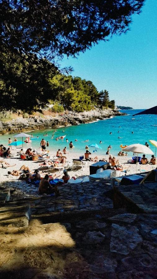 Apartmani Marco,Lukas,Patrick,David,Blizu Centra I Mora Sa Free Privatnim Parkingom Пула Экстерьер фото