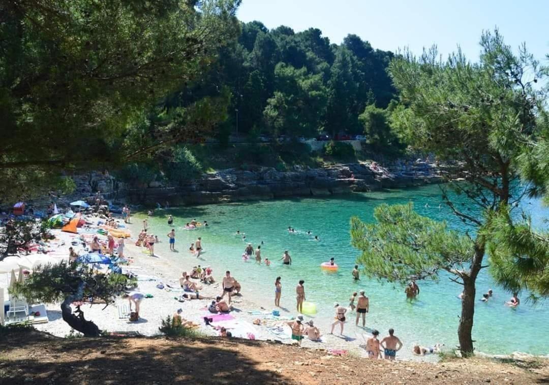 Apartmani Marco,Lukas,Patrick,David,Blizu Centra I Mora Sa Free Privatnim Parkingom Пула Экстерьер фото